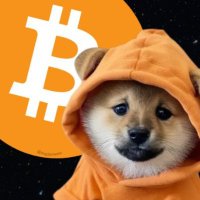 比特星❤️DOG❤️ (@xingtai62777) 's Twitter Profile Photo 比特星❤️DOG❤️ (@xingtai62777) 's Twitter Profile Photo