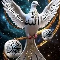 الطير المهاجر (@aa51ad) 's Twitter Profile