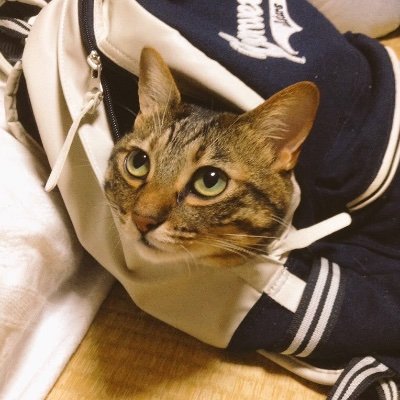 blacking_pepper's profile picture. 