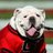 Tempo (Ø,G) $XAGE's Twitter (X) avatar