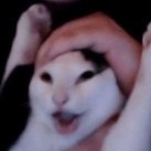 lingus_z's profile picture. 
