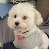 Redx (@redx50) 's Twitter Profile