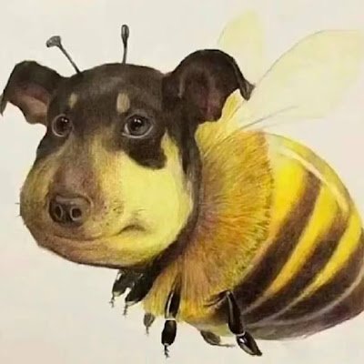 nan_mi52061's profile picture. 毛毛