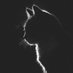 Anthony S. (@jlqazx) Twitter profile photo
