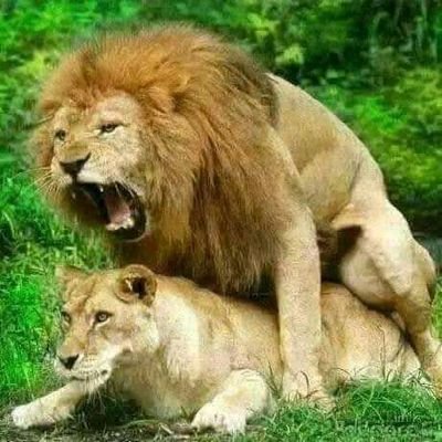 كل شخص عنده اعتراف أو فضفضه أو قصة حصلت معاه علي حسب رغبته عايز ينشرها باسم أو بدون يبعت عالخاص