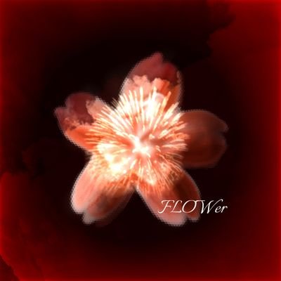CROSSer.FLOWer Profile