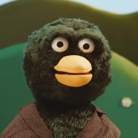 Idk Vero (@wer0crow731) 's Twitter Profile Photo