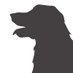 goldihawks (@goldihawks) Twitter profile photo goldihawks (@goldihawks) Twitter profile photo