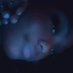 YAZY™ (@yaazyyyh) Twitter profile photo YAZY™ (@yaazyyyh) Twitter profile photo