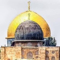 عمر خطاب القَریشِی (@syed4586) 's Twitter Profile