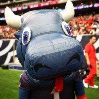 Inflata-BULL ๐ (@inflatabull) 's Twitter Profile