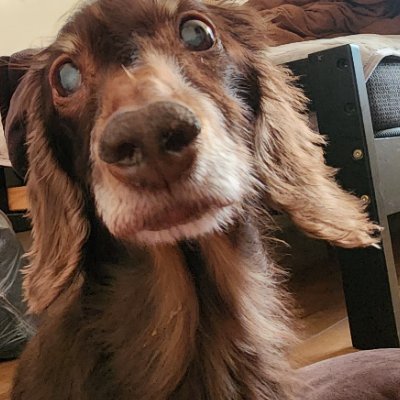 主にモンスト、白猫やってます。