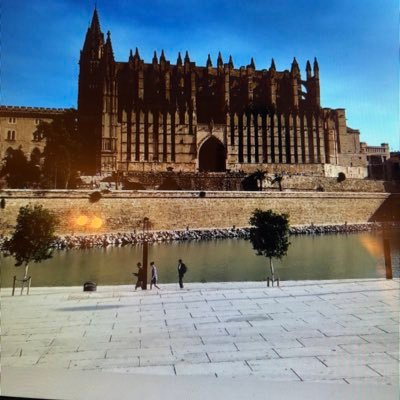 Surferdad9's profile picture. 