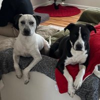 Sean Arfsten (@seanarfsten) 's Twitter Profile Photo Sean Arfsten (@seanarfsten) 's Twitter Profile Photo