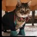 avucat (@meoew_meoew) Twitter profile photo avucat (@meoew_meoew) Twitter profile photo