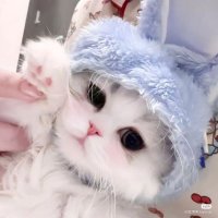 ふわふわベビたん (@_ryg_luv) 's Twitter Profile