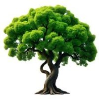 OakTree (@oak_crypto1) 's Twitter Profile