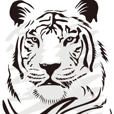 VladslavP's profile picture. 