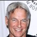 Mark Harmon (@harmonmark94757) Twitter profile photo Mark Harmon (@harmonmark94757) Twitter profile photo