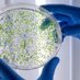 Clinical microbiology (@clinicalmic) Twitter profile photo Clinical microbiology (@clinicalmic) Twitter profile photo