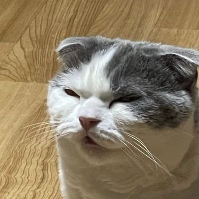 If @ITZYofficial members find this account, I just want to say. `Thank you, for everything. Have a good rest, and don't forget to eat`