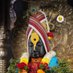 Raghavendhra Theertha (@raghavendhratt) Twitter profile photo Raghavendhra Theertha (@raghavendhratt) Twitter profile photo