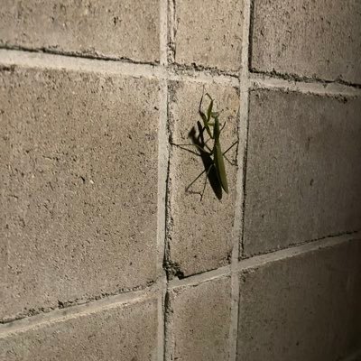 tourou72's profile picture. @Slow_Surf_band