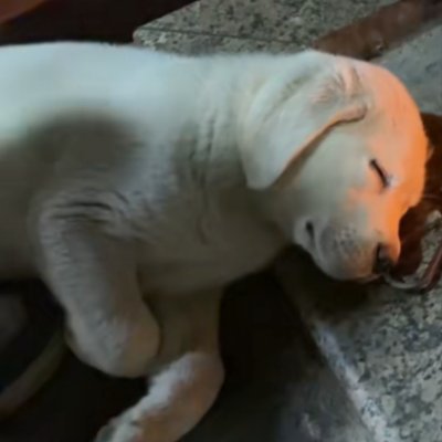 Netherite303's profile picture. 