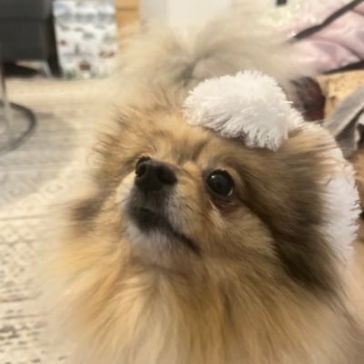 a183e362efd0482's profile picture. 💜1GA 🧡Magda 🤎Magdalena 🇵🇱🇵🇱🇵🇱