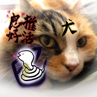 刹那👠⛓さんのプロフィール画像