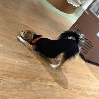 hphp_jy's profile picture. お問い合わせはDM🧸💌𓂃𓈒𓂂𓏸まで🙆🏻‍♀️