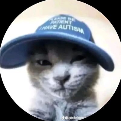 playdplr's profile picture. 