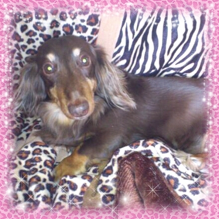 obachan2210's profile picture. 