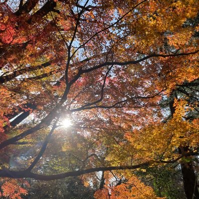 hatusub's profile picture. 穏やかにいきましょ。穏やかですけどね