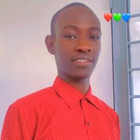 Cheikhou oumar Ndiaye (@cheikhouou97870) 's Twitter Profile