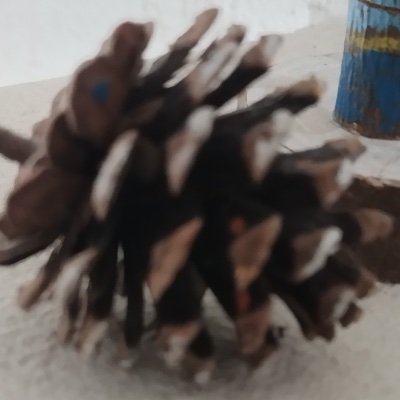 enagatan3's profile picture. 