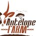 AntelopeFarmEvents (@antelopefarm) Twitter profile photo AntelopeFarmEvents (@antelopefarm) Twitter profile photo