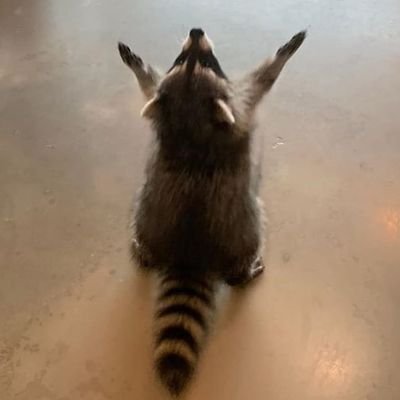 a7rqch5eb's profile picture. 20↑ / ROM