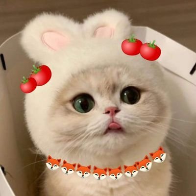 สาววาย l ยองแจลูกแม่🌙🦦 l น้องบุ๊คน่ารักจังเลย🍅
🦊🍅 #ฟอสบุ๊ค🐰🌴🐢🍑🌙🐜🐍 #GOT7
🐥🐥🐥🐥🐥🐥🐥💚💚💚💚💚💚💚