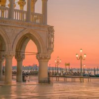 Nchamomile (@boone_anna43633) 's Twitter Profile Photo