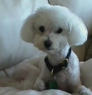 Soundings's profile picture. 