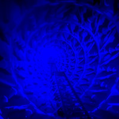 murmur_graf's profile picture. 