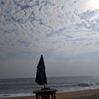 N'vamsa Sayfu (@musaafsherif1) 's Twitter Profile