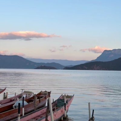 zx806789's profile picture. 