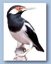 Tantra16's profile picture. science world
20769CB9