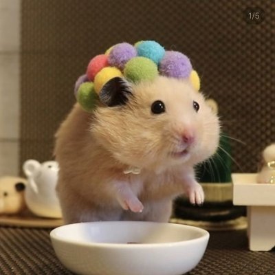 haejuuuuu109's profile picture. 🐿️