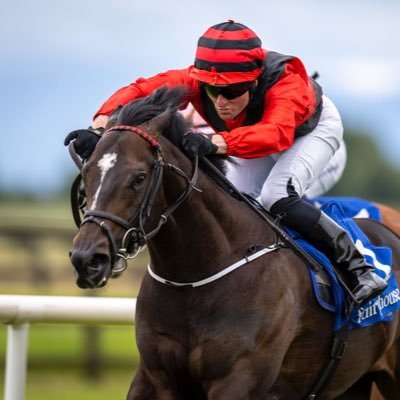 Michael O’Callaghan Profile