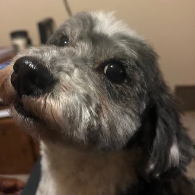 ELB771's profile picture. Widower is who learning how to live life all over again and to relax and enjoy this new journey that awaits