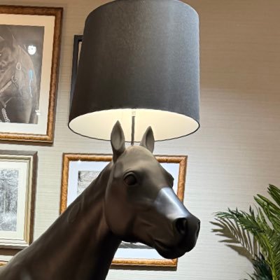 🐴馬ライト💡さんのプロフィール画像