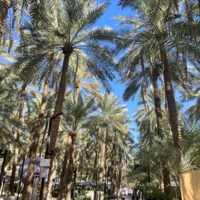 - أخصائية أجتماعية:''قيد الإنشاء.